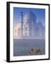 Taj Mahal, Agra, India-Peter Adams-Framed Photographic Print