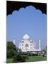 Taj Mahal, Agra, Uttar Pradesh, India-Steve Vidler-Mounted Photographic Print