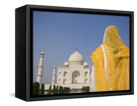 Taj Mahal, Agra, Uttar Pradesh, India-Doug Pearson-Framed Stretched Canvas