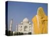 Taj Mahal, Agra, Uttar Pradesh, India-Doug Pearson-Stretched Canvas