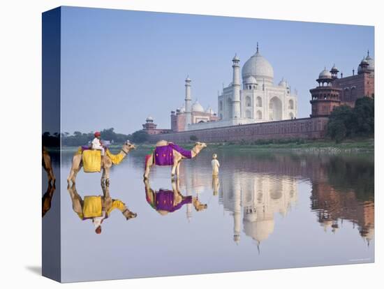 Taj Mahal, Agra, Uttar Pradesh, India-Doug Pearson-Stretched Canvas