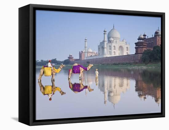 Taj Mahal, Agra, Uttar Pradesh, India-Doug Pearson-Framed Stretched Canvas