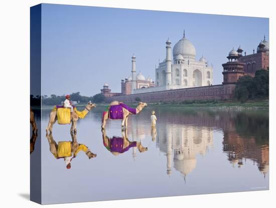 Taj Mahal, Agra, Uttar Pradesh, India-Doug Pearson-Stretched Canvas