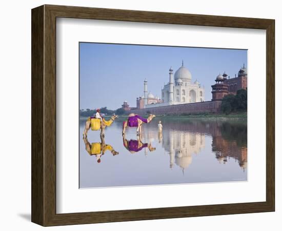 Taj Mahal, Agra, Uttar Pradesh, India-Doug Pearson-Framed Photographic Print