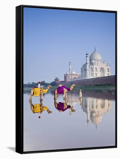 Taj Mahal, Agra, Uttar Pradesh, India-Doug Pearson-Framed Stretched Canvas