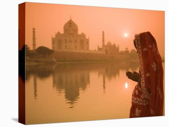 Taj Mahal, Agra, Uttar Pradesh, India-Doug Pearson-Stretched Canvas