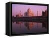 Taj Mahal and Jamid Masjid-Mick Roessler-Framed Stretched Canvas