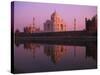 Taj Mahal and Jamid Masjid-Mick Roessler-Stretched Canvas