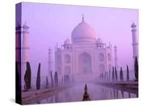 Taj Mahal at Dawn, Agra, India-Pete Oxford-Stretched Canvas