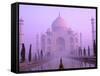 Taj Mahal at Dawn, Agra, India-Pete Oxford-Framed Stretched Canvas