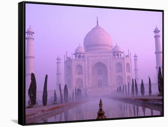 Taj Mahal at Dawn, Agra, India-Pete Oxford-Framed Stretched Canvas