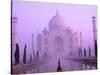 Taj Mahal at Dawn, Agra, India-Pete Oxford-Stretched Canvas