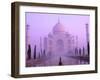 Taj Mahal at Dawn, Agra, India-Pete Oxford-Framed Premium Photographic Print