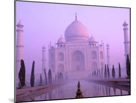 Taj Mahal at Dawn, Agra, India-Pete Oxford-Mounted Premium Photographic Print