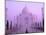 Taj Mahal at Dawn, Agra, India-Pete Oxford-Mounted Premium Photographic Print