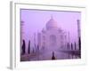 Taj Mahal at Dawn, Agra, India-Pete Oxford-Framed Photographic Print