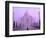 Taj Mahal at Dawn, Agra, India-Pete Oxford-Framed Photographic Print