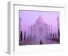 Taj Mahal at Dawn, Agra, India-Pete Oxford-Framed Photographic Print