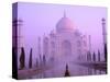 Taj Mahal at Dawn, Agra, India-Pete Oxford-Stretched Canvas