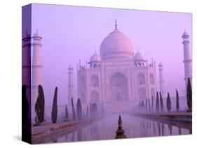 Taj Mahal at Dawn, Agra, India-Pete Oxford-Stretched Canvas