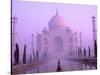 Taj Mahal at Dawn, Agra, India-Pete Oxford-Stretched Canvas