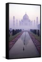 Taj Mahal at Dawn, UNESCO World Heritage Site, Agra, Uttar Pradesh, India, Asia-Peter Barritt-Framed Stretched Canvas