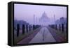 Taj Mahal at Dawn, UNESCO World Heritage Site, Agra, Uttar Pradesh, India, Asia-Peter Barritt-Framed Stretched Canvas