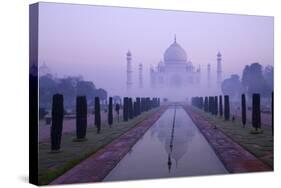 Taj Mahal at Dawn, UNESCO World Heritage Site, Agra, Uttar Pradesh, India, Asia-Peter Barritt-Stretched Canvas