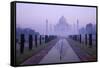 Taj Mahal at Dawn, UNESCO World Heritage Site, Agra, Uttar Pradesh, India, Asia-Peter Barritt-Framed Stretched Canvas