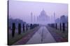 Taj Mahal at Dawn, UNESCO World Heritage Site, Agra, Uttar Pradesh, India, Asia-Peter Barritt-Stretched Canvas