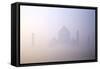 Taj Mahal at Dawn, UNESCO World Heritage Site, Agra, Uttar Pradesh, India, Asia-Peter Barritt-Framed Stretched Canvas