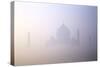 Taj Mahal at Dawn, UNESCO World Heritage Site, Agra, Uttar Pradesh, India, Asia-Peter Barritt-Stretched Canvas