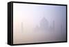 Taj Mahal at Dawn, UNESCO World Heritage Site, Agra, Uttar Pradesh, India, Asia-Peter Barritt-Framed Stretched Canvas