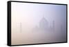 Taj Mahal at Dawn, UNESCO World Heritage Site, Agra, Uttar Pradesh, India, Asia-Peter Barritt-Framed Stretched Canvas