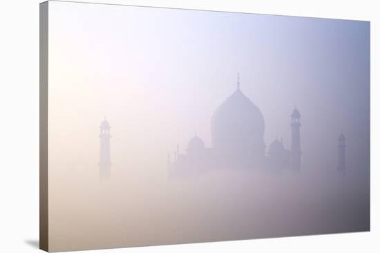 Taj Mahal at Dawn, UNESCO World Heritage Site, Agra, Uttar Pradesh, India, Asia-Peter Barritt-Stretched Canvas