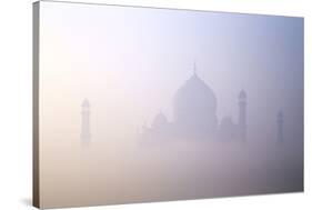 Taj Mahal at Dawn, UNESCO World Heritage Site, Agra, Uttar Pradesh, India, Asia-Peter Barritt-Stretched Canvas