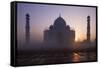 Taj Mahal at Sunrise, UNESCO World Heritage Site, Agra, Uttar Pradesh, India, Asia-Peter Barritt-Framed Stretched Canvas