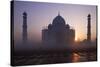 Taj Mahal at Sunrise, UNESCO World Heritage Site, Agra, Uttar Pradesh, India, Asia-Peter Barritt-Stretched Canvas