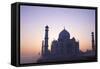 Taj Mahal at Sunrise, UNESCO World Heritage Site, Agra, Uttar Pradesh, India, Asia-Peter Barritt-Framed Stretched Canvas