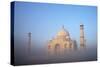 Taj Mahal at Sunrise, UNESCO World Heritage Site, Agra, Uttar Pradesh, India, Asia-Peter Barritt-Stretched Canvas