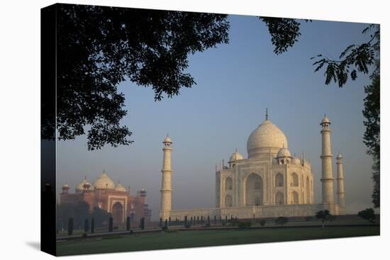 Taj Mahal at Sunrise, UNESCO World Heritage Site, Agra, Uttar Pradesh, India, Asia-Peter Barritt-Stretched Canvas