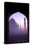 Taj Mahal at Sunrise, UNESCO World Heritage Site, Agra, Uttar Pradesh, India, Asia-Peter Barritt-Stretched Canvas