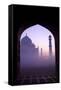 Taj Mahal at Sunrise, UNESCO World Heritage Site, Agra, Uttar Pradesh, India, Asia-Peter Barritt-Framed Stretched Canvas