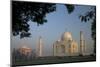 Taj Mahal at Sunrise, UNESCO World Heritage Site, Agra, Uttar Pradesh, India, Asia-Peter Barritt-Mounted Photographic Print