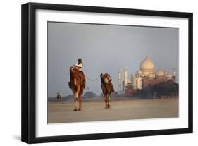 Taj Mahal Camels-Charles Bowman-Framed Photographic Print