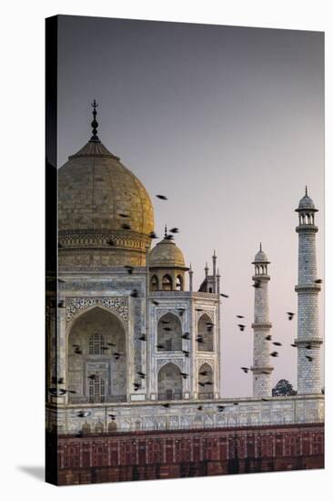 Taj Mahal Flock-Maurizio Rellini-Stretched Canvas