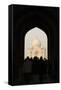 Taj Mahal II-Karyn Millet-Framed Stretched Canvas