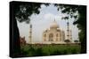 Taj Mahal - India-rajjawa-Stretched Canvas