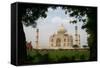 Taj Mahal - India-rajjawa-Framed Stretched Canvas