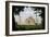 Taj Mahal - India-rajjawa-Framed Photographic Print